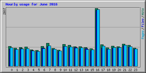Hourly usage for June 2016